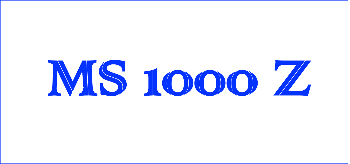 MS FLARE 1000 Z
